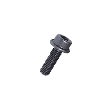 Hex Socket Flange Head Cap Bolt