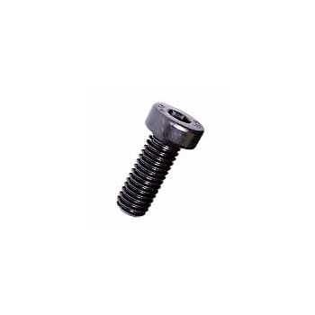 Hex Socket Low Head Cap Bolt